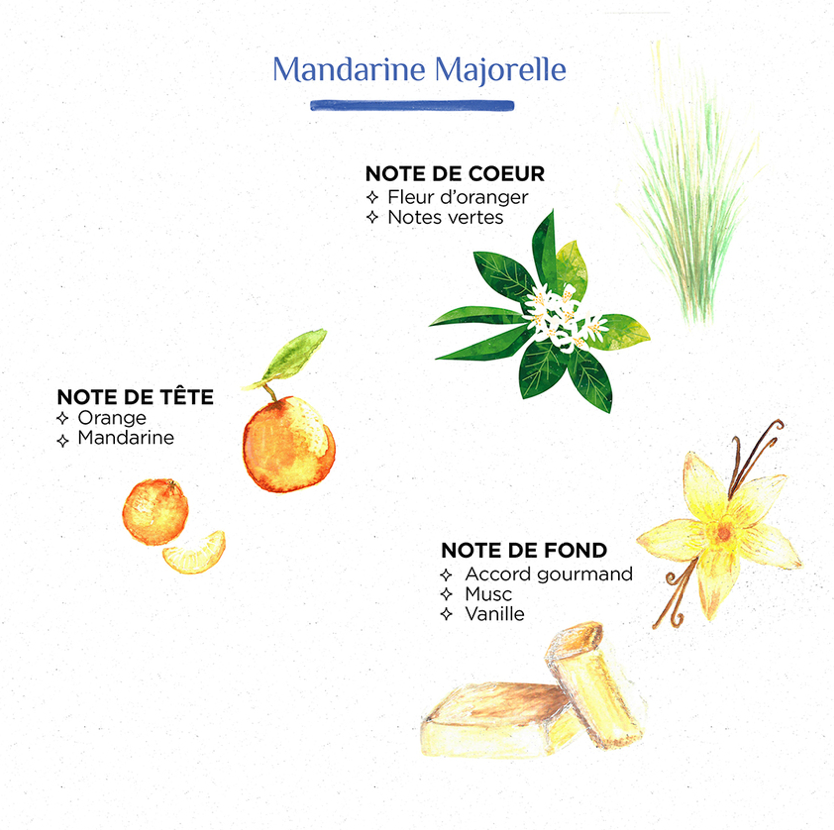 Diffuseur bâtonnet MANDARINE MAJORELLE